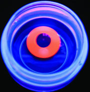 Glow Orange Party Lenses